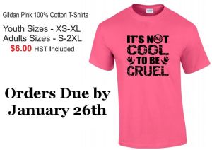 pink-shirt-day-t-shirt